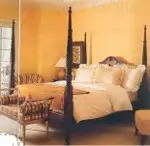 Pineapple Bed